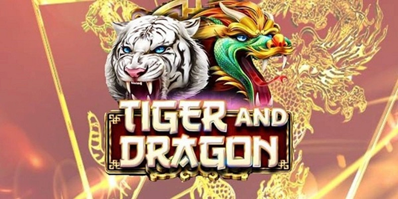 Sàn WM Casino lâu đời tại Long Hổ gd365